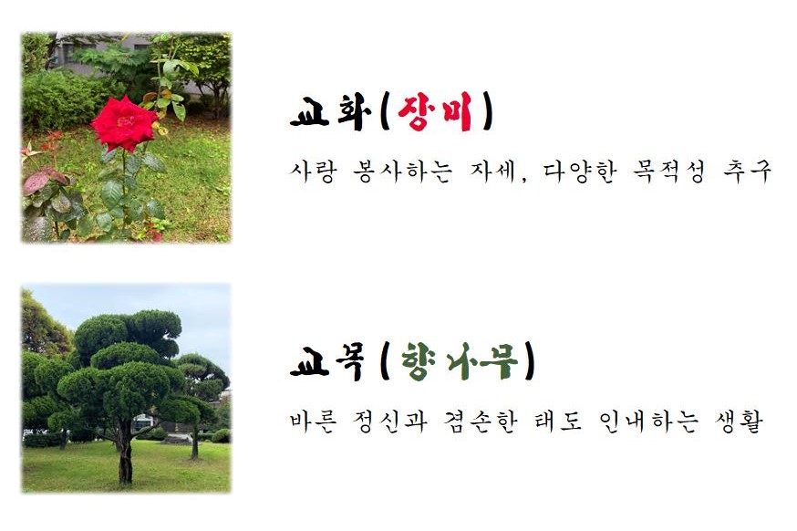 교화(장미)
사랑 봉사하는 자세, 다양한 목적성 추구
교목(향나무)
바른 정신과 겸손한 태도 인내하는 생활